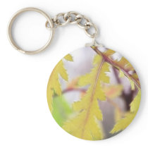 Autumn Tansy Leaves