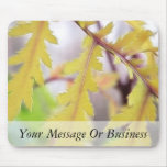 Autumn Tansy Leaves