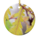 Autumn Tansy Leaves