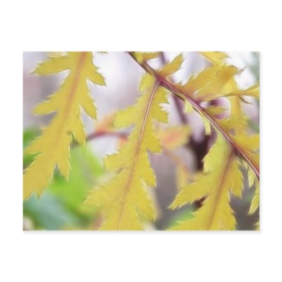 Autumn Tansy Leaves by Pretty_World