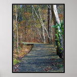 Autumn Trail