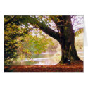 Autumn Tree Card