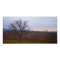 Autumn Tree Personalised Photo Card