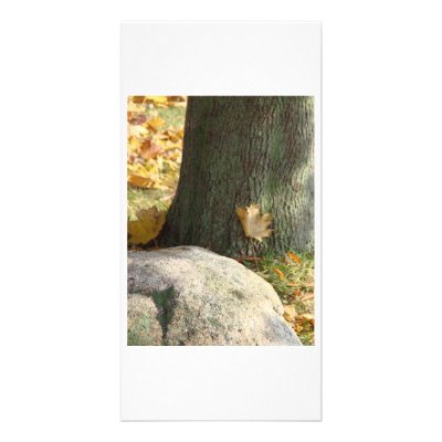 Autumn tree & rock customized photo card by BruceMG