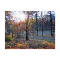 Autumn trees
