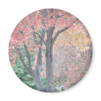 Autumn Trees