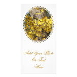 AUTUMN TREES photo cards