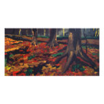 Autumn Trees Photo Cards