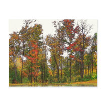 Autumn Trees
