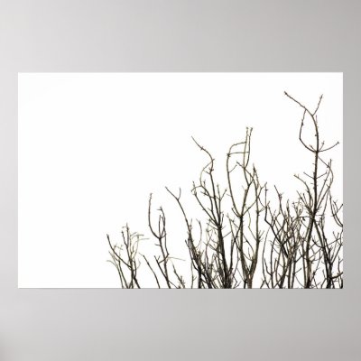 autumn trees poster