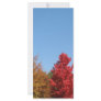 Autumn Trees Customized Rack Card