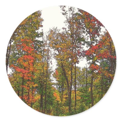 Autumn Trees by nmpics