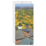 autumn up high