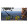 autumn view photo greeting card