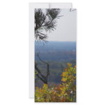 autumn view