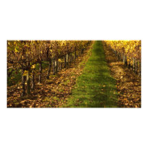 Autumn Vines Photo Card Template