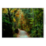 Autumn Walk Greeting Card