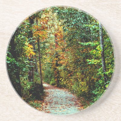 Autumn Walk Beverage Coaster by northwest_photograph
