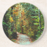 Autumn Walk coasters
