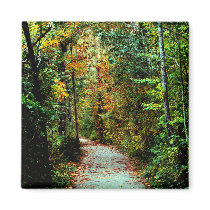 Autumn Walk Refrigerator Magnet