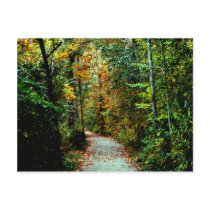Autumn Walk Post Card