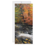 Autumn Waterfall Custom Rack Cards