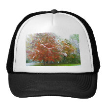 Autumn Winter.JPG Netzkappe