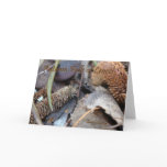 Autumn Wish for Mum - Card