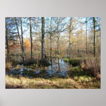 Autumn Woods Posters