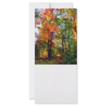 Autumn Woods