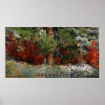 Autumnal Fire Colour Photo from Utah