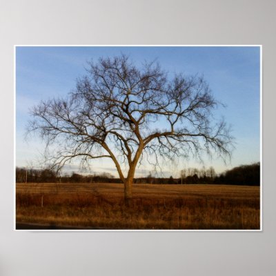 Autumnal Glow Print by EnglandDesigns
