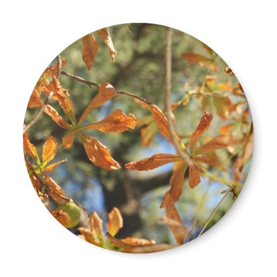 Autumnal gold leaves illustration of flowers by Larisa13