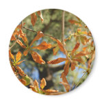 Autumnal gold leaves illustration of flowers magnets