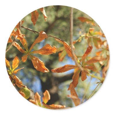 Autumnal gold leaves illustration of flowers by Larisa13