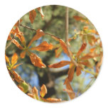 Autumnal gold leaves illustration of flowers stickers