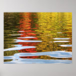 Autumnal Reflections