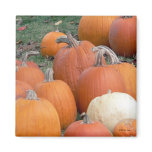 Autumn's Bounty 3 Magnet