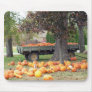 Autumn's Bounty I Mousepad