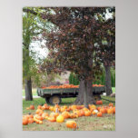 Autumn's Bounty I Poster posters