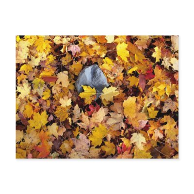 Autumns end post card by signore