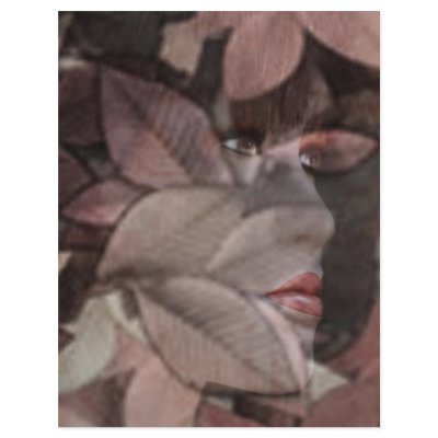 Autumn's Face Flyers by laureenr