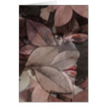 Autumn's Face Greeting Card