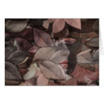 Autumn's Face Greeting Cards