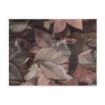 Autumn's Face Post Card