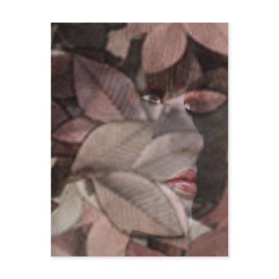 Autumn's Face Post Card by laureenr