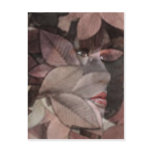 Autumn's Face Post Card