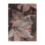 Autumn's Face Post Card