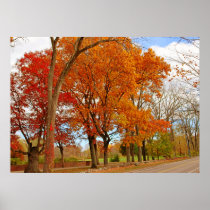 AUTUMN'S GLOW POSTER