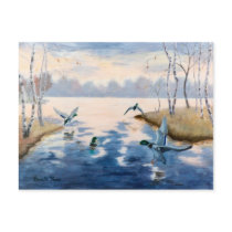 Autumns Mallards Postcard